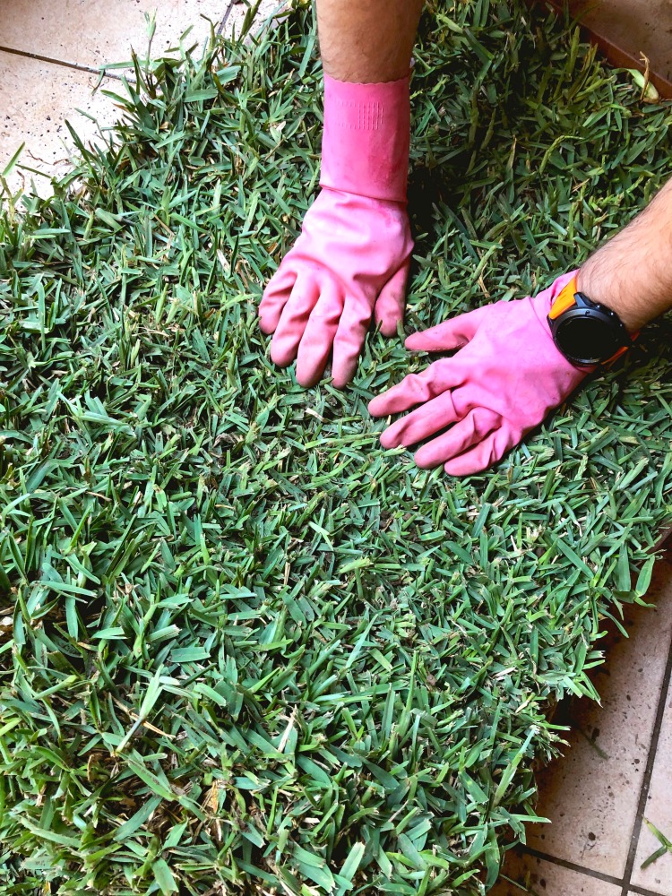 sod box for dogs