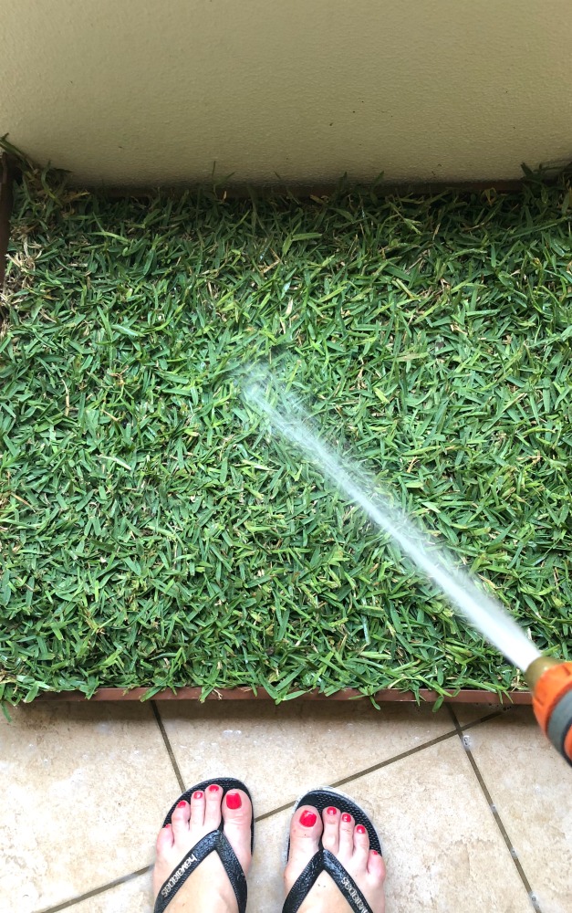 real grass pee pad