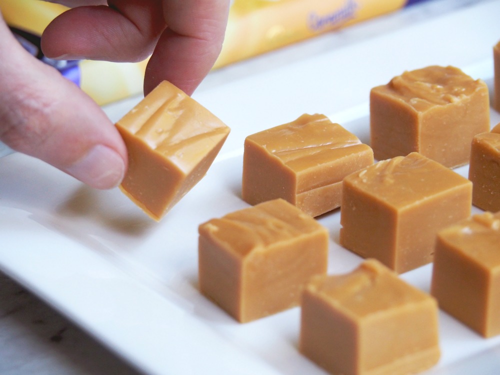 thermomix caramilk fudge piece