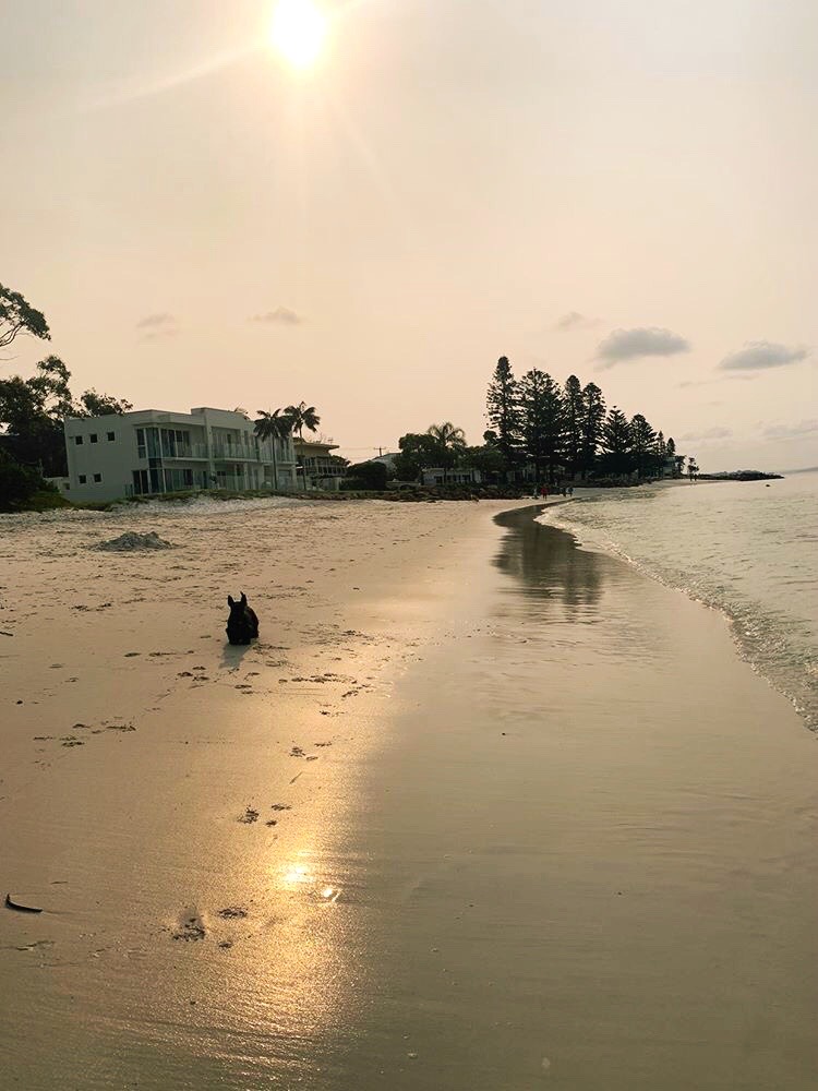 bagnalls beach sunset