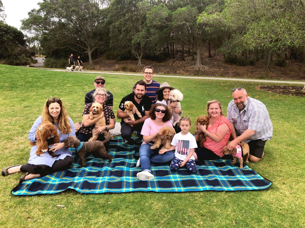 hidden valley cavoodles family