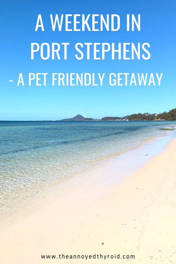 pet friendly getaway port stephens