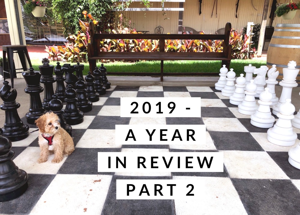 NEW PUPPY CHESS RECAP!! 