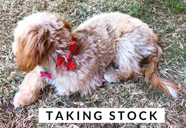 Taking Stock – December 2019