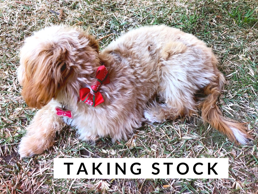 taking stock december 2019