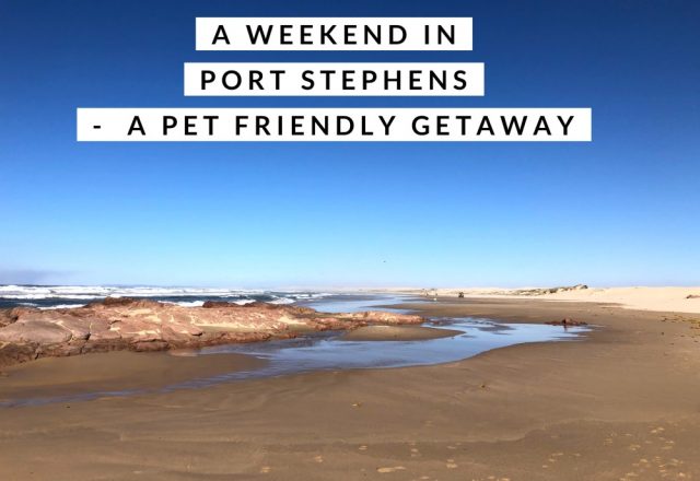 A Weekend in Port Stephens – Pet Friendly Getaway