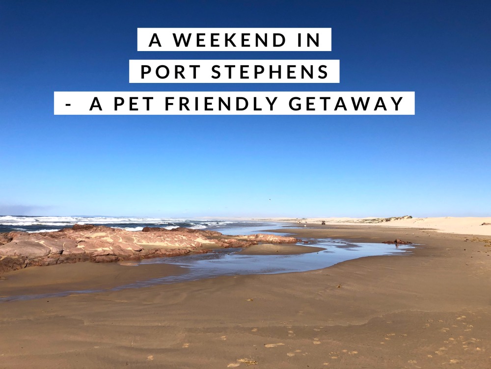 weekend port stephens pet friendly