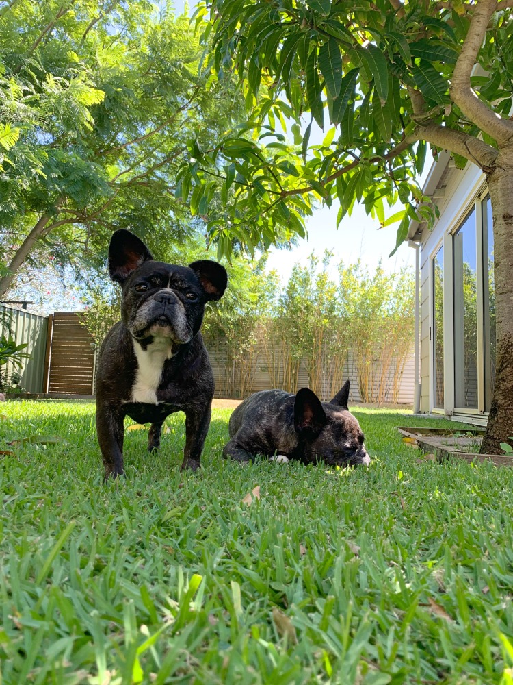 port stephens airbnb garden