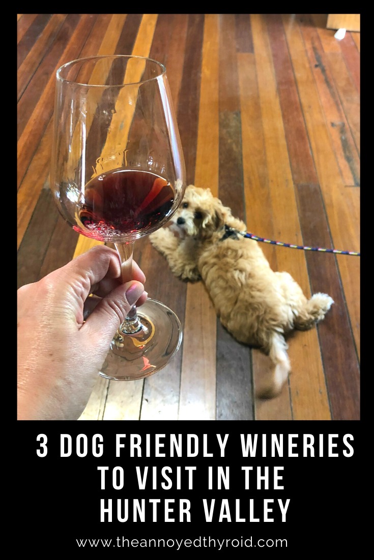 dog friendly wineries