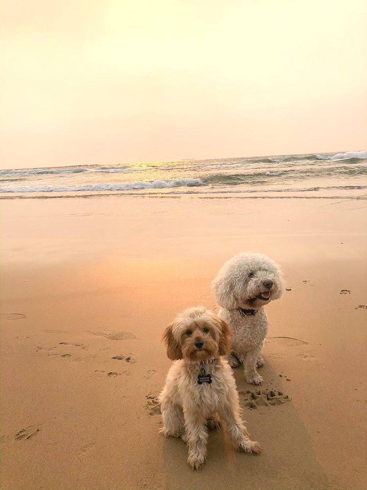 Little Austinmer Beach sunset 