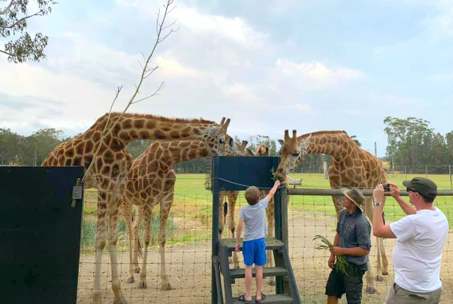 Mogo Zoo Giraffe Feeding