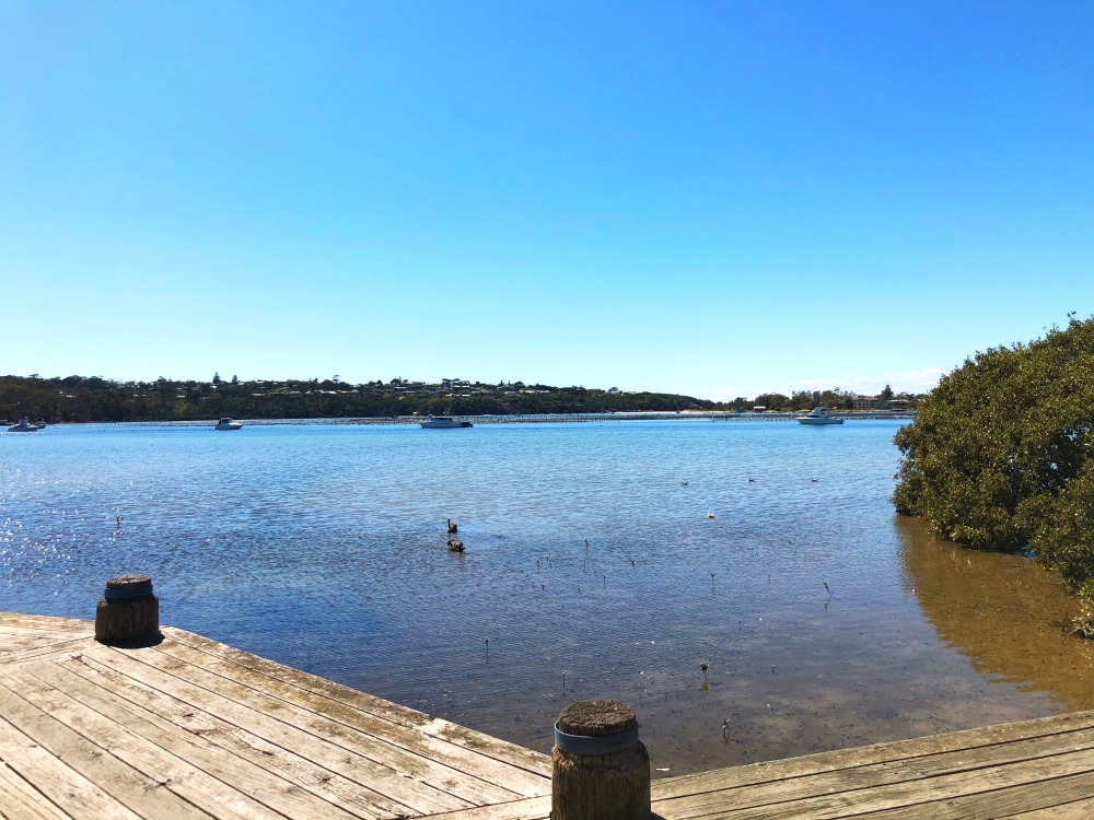 waterfront cafe merimbula views