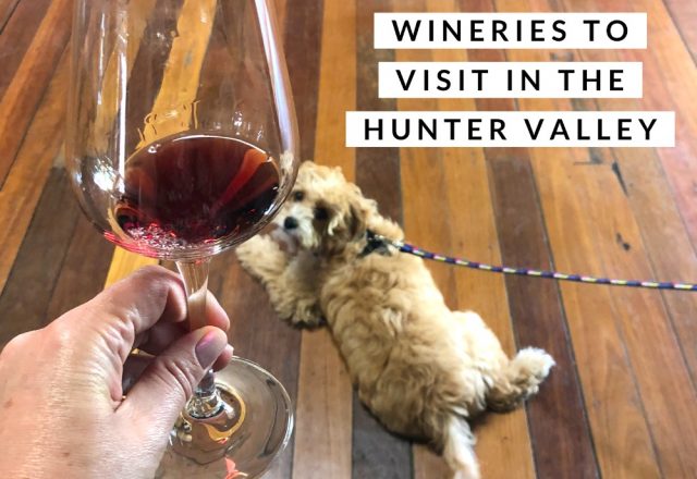 3 Dog Friendly Wineries to Visit in the Hunter Valley