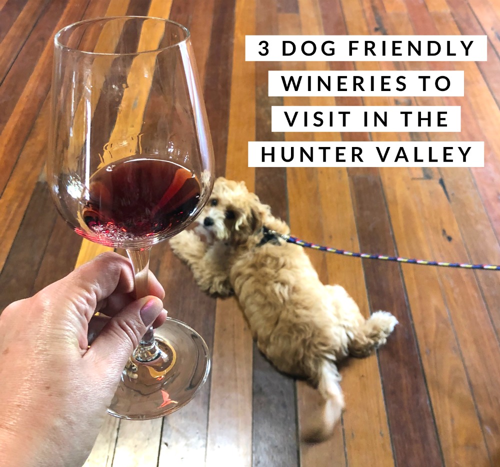 dog friendly wineries hunter valley