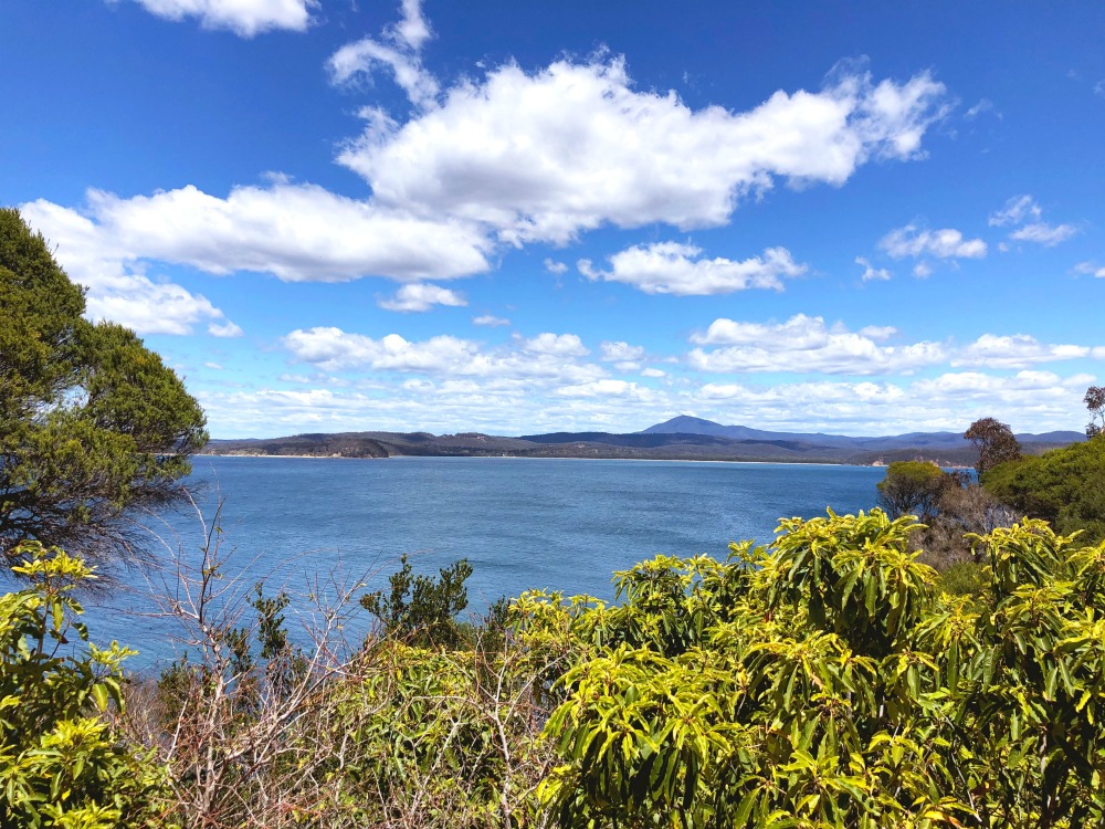 dog friendly eden lookout