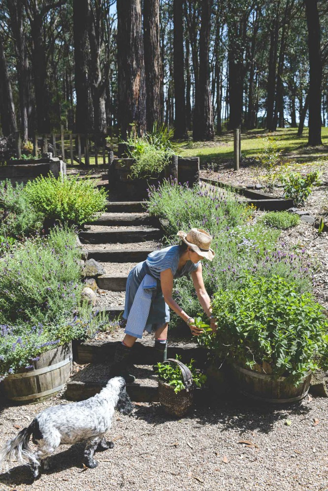 she's so inspiring fiona Rigg gardening