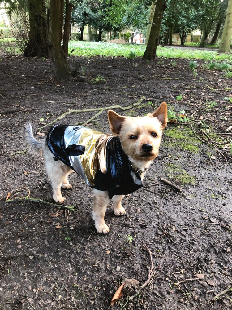 Calvin in his Kanye style coat