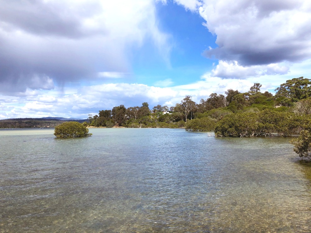 Merimbula Boardwalk