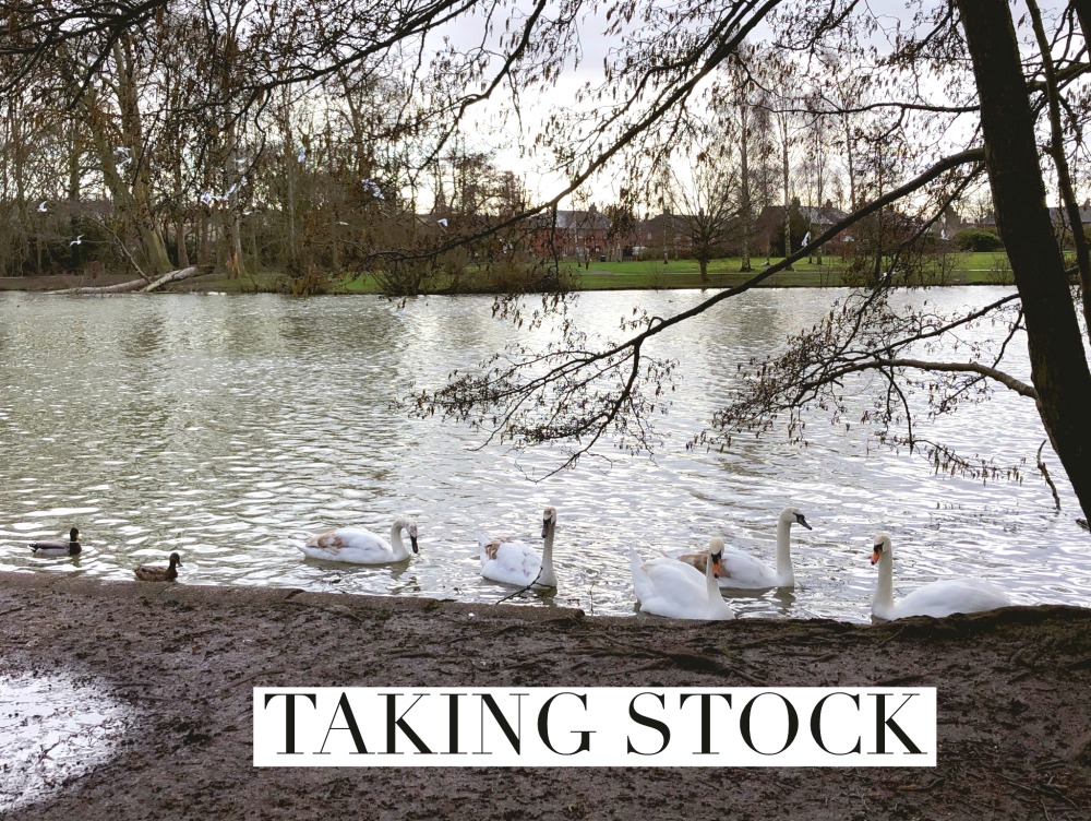 taking_stock_february_2020_swans_on_lake