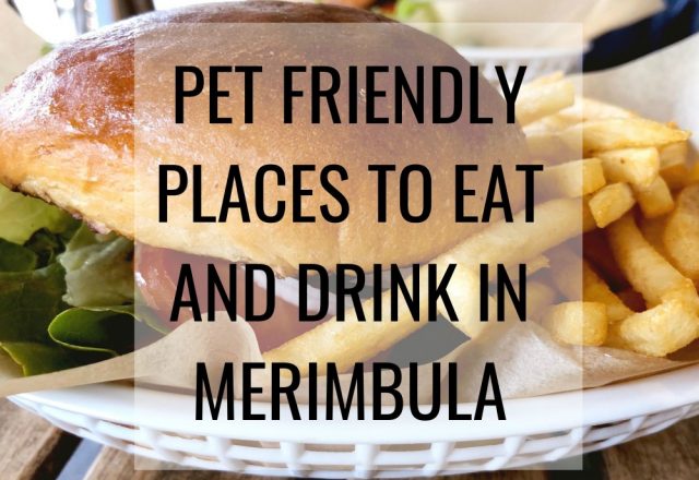 Pet Friendly Places to Eat and Drink in Merimbula