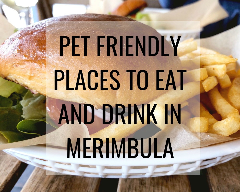 pet friendly places to eat drink merimbula