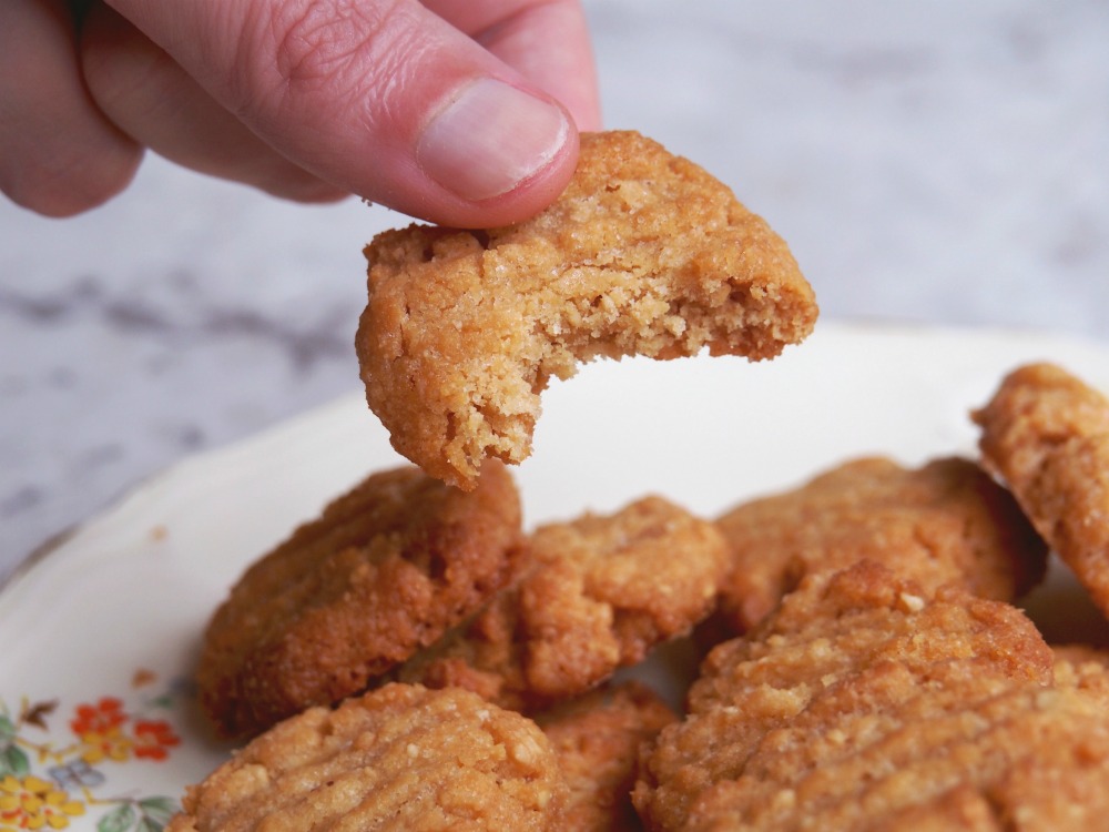 3 ingredient peanut butter isolation cookies bite