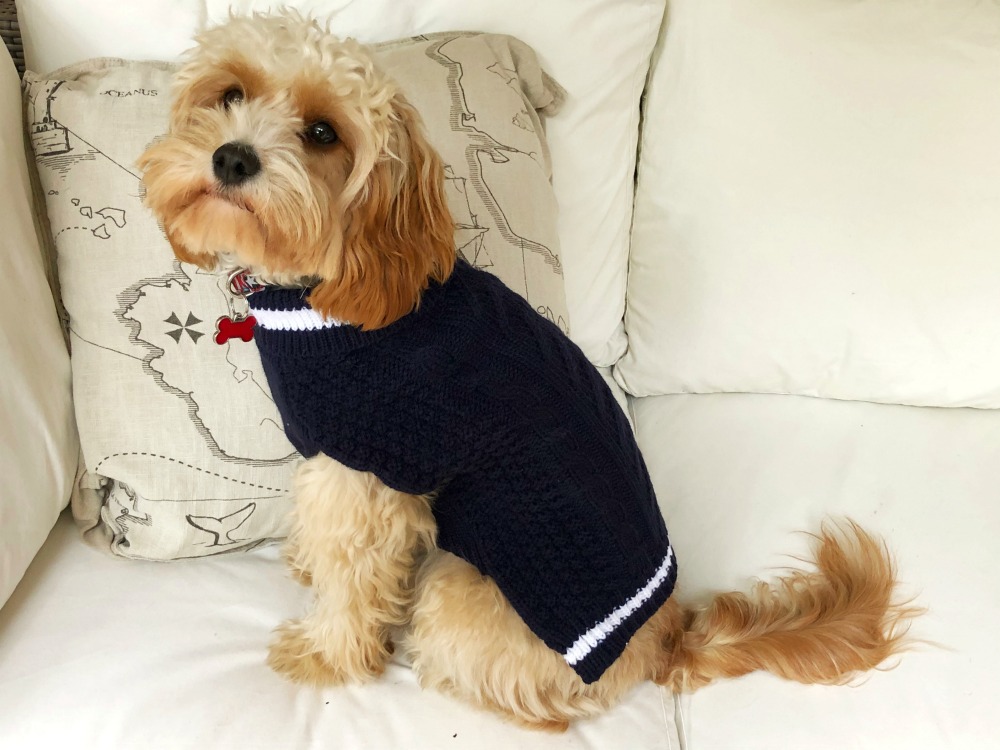 Kmart dog jumper