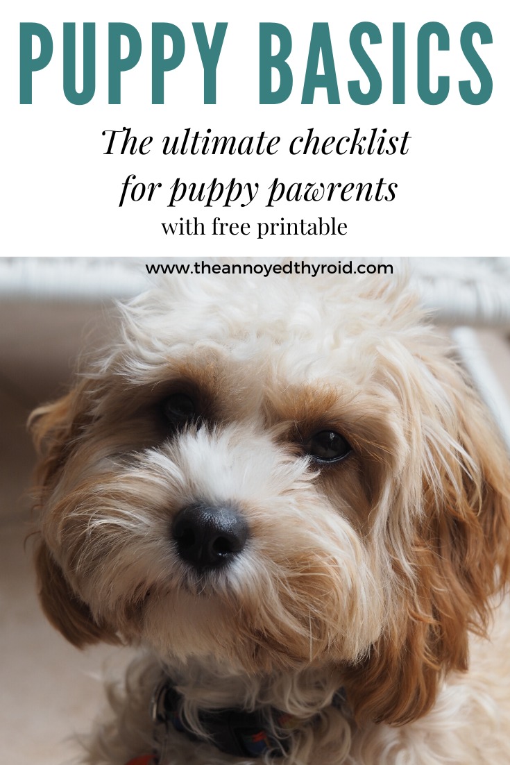 puppy basics with free printable checklist