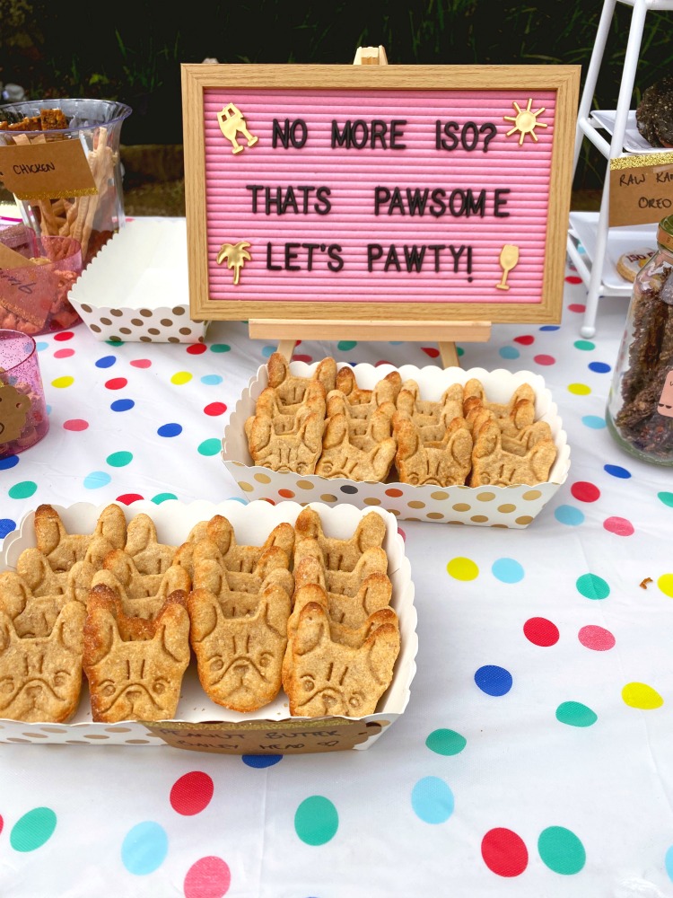iso dog party table