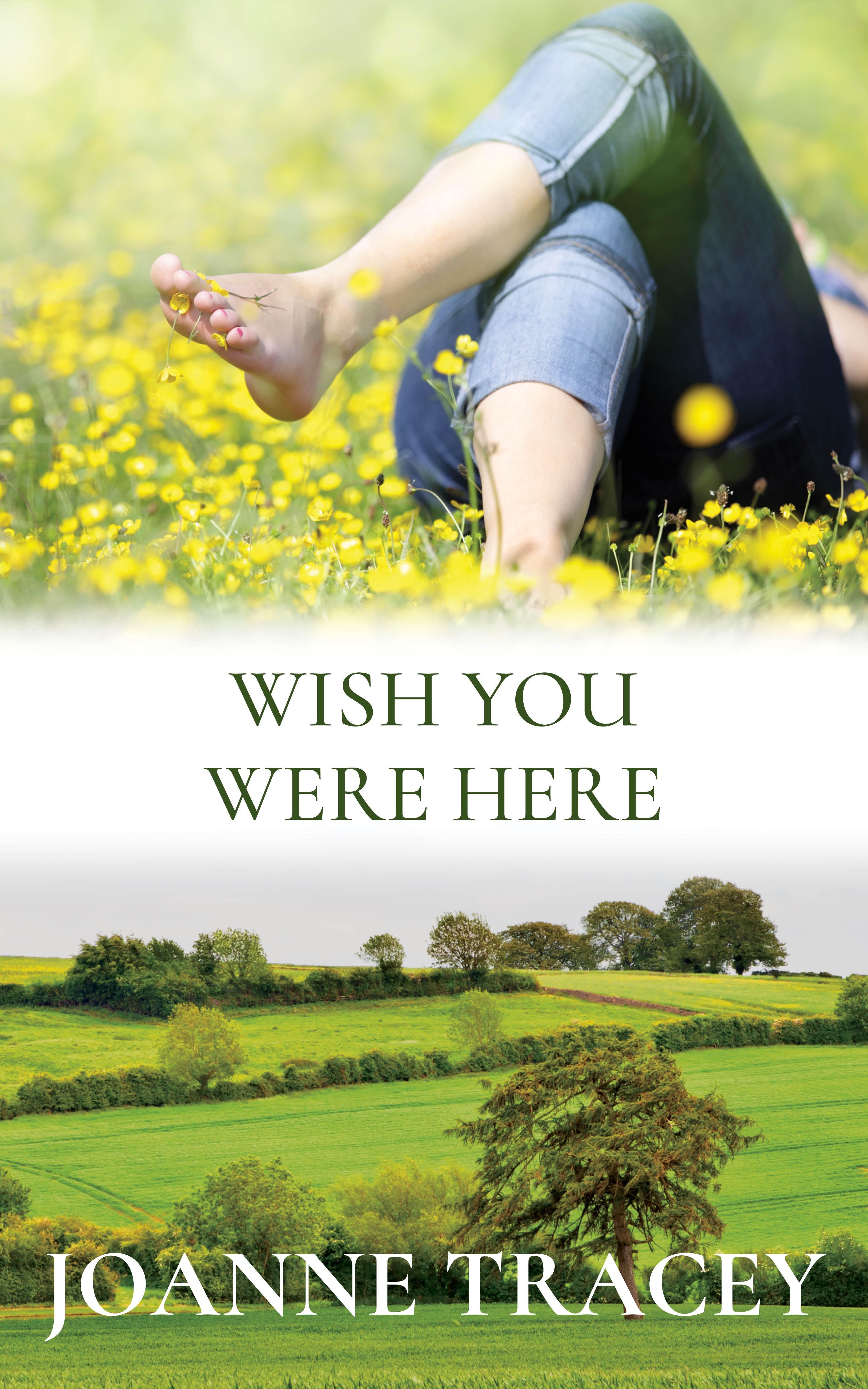 book cover Wish You Were Here