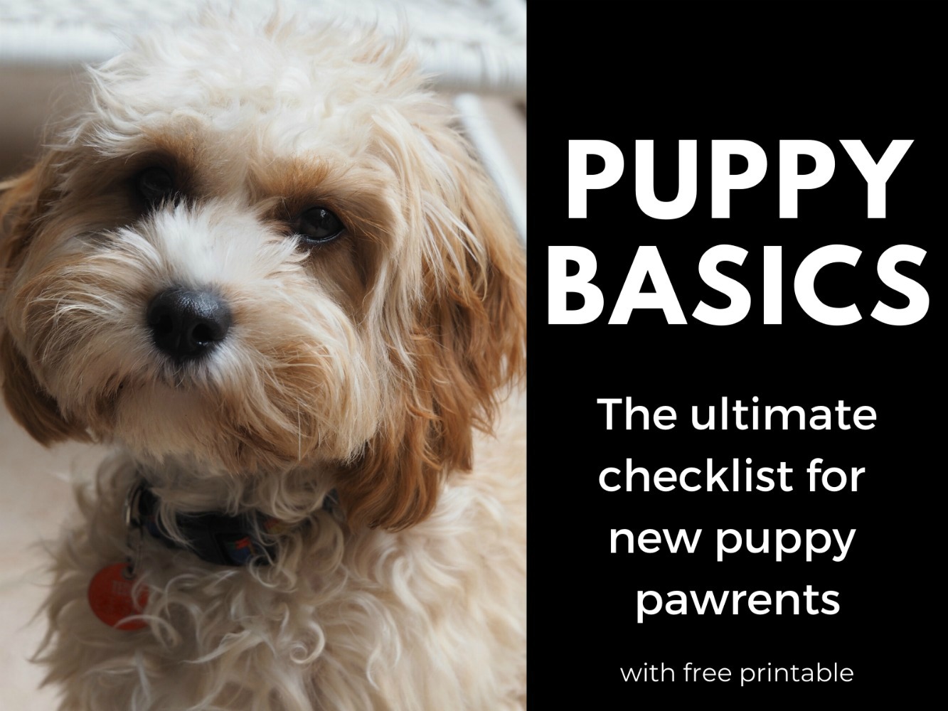 puppy basics with printable checklist