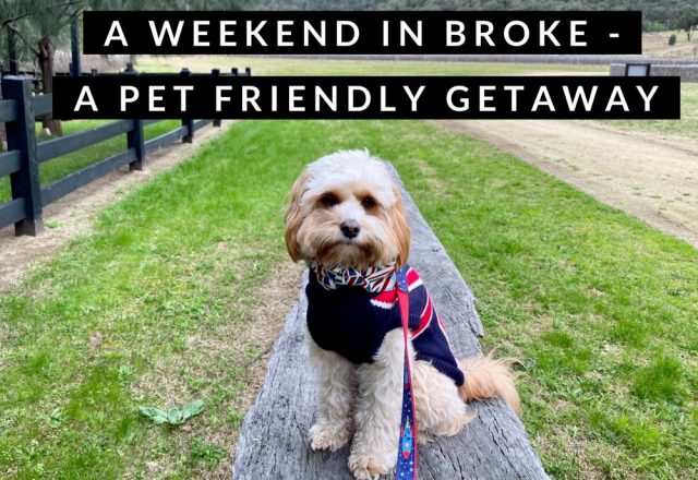 A Weekend in Broke, Hunter Valley – A Pet Friendly Getaway