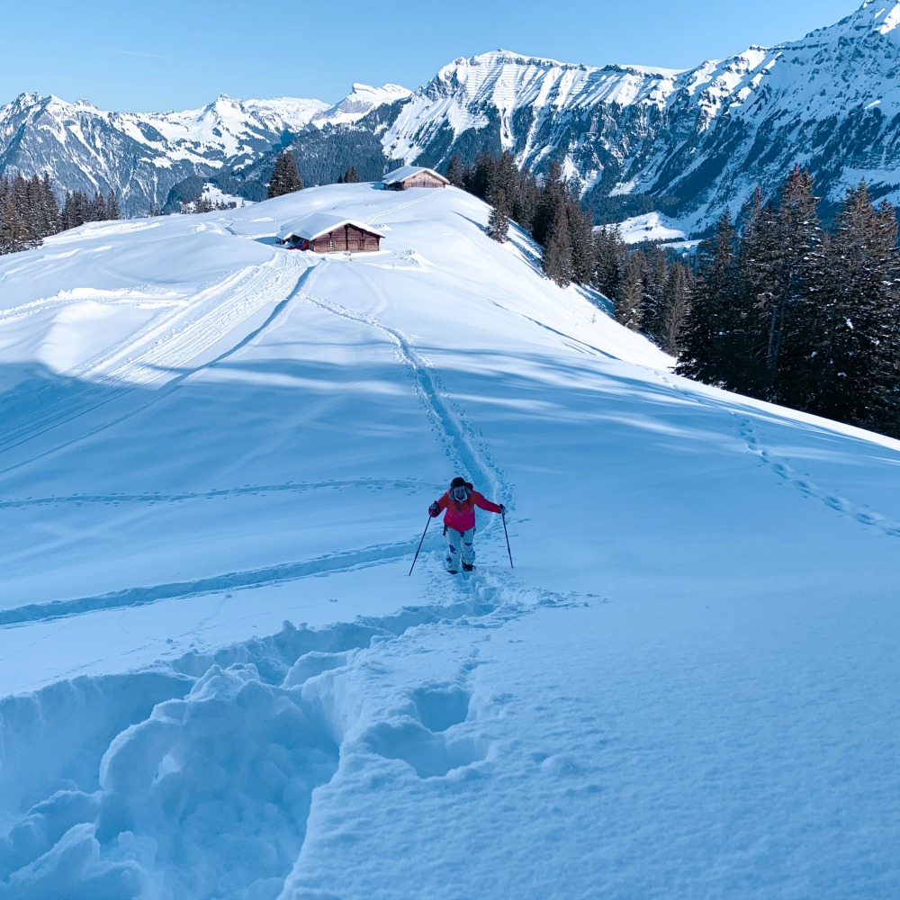 Lisa Dickenson skiing