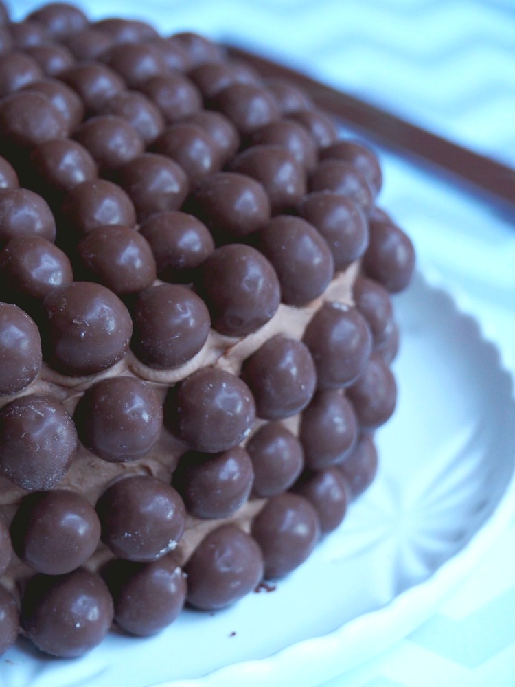 chocolate malteser cake side view