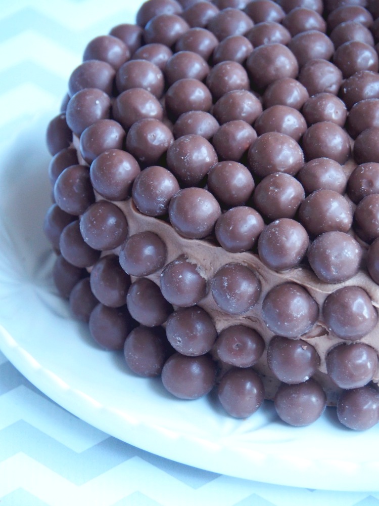 chocolate malteser cake side view