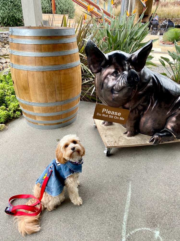 Piggs Peake Winery bronze pig