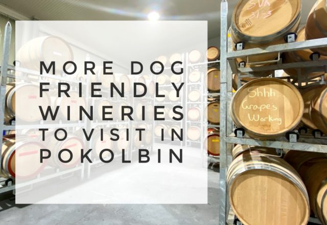 More Dog Friendly Wineries to Visit in Pokolbin