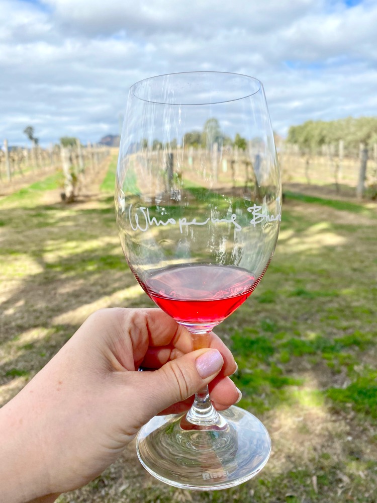 glass of wine with vineyard in background