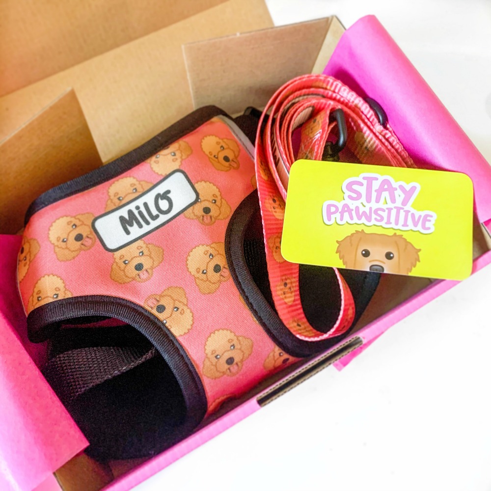 zoopeez personalised harness