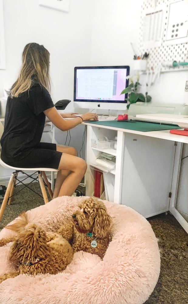 woman working at desk with two cavoodles looking on