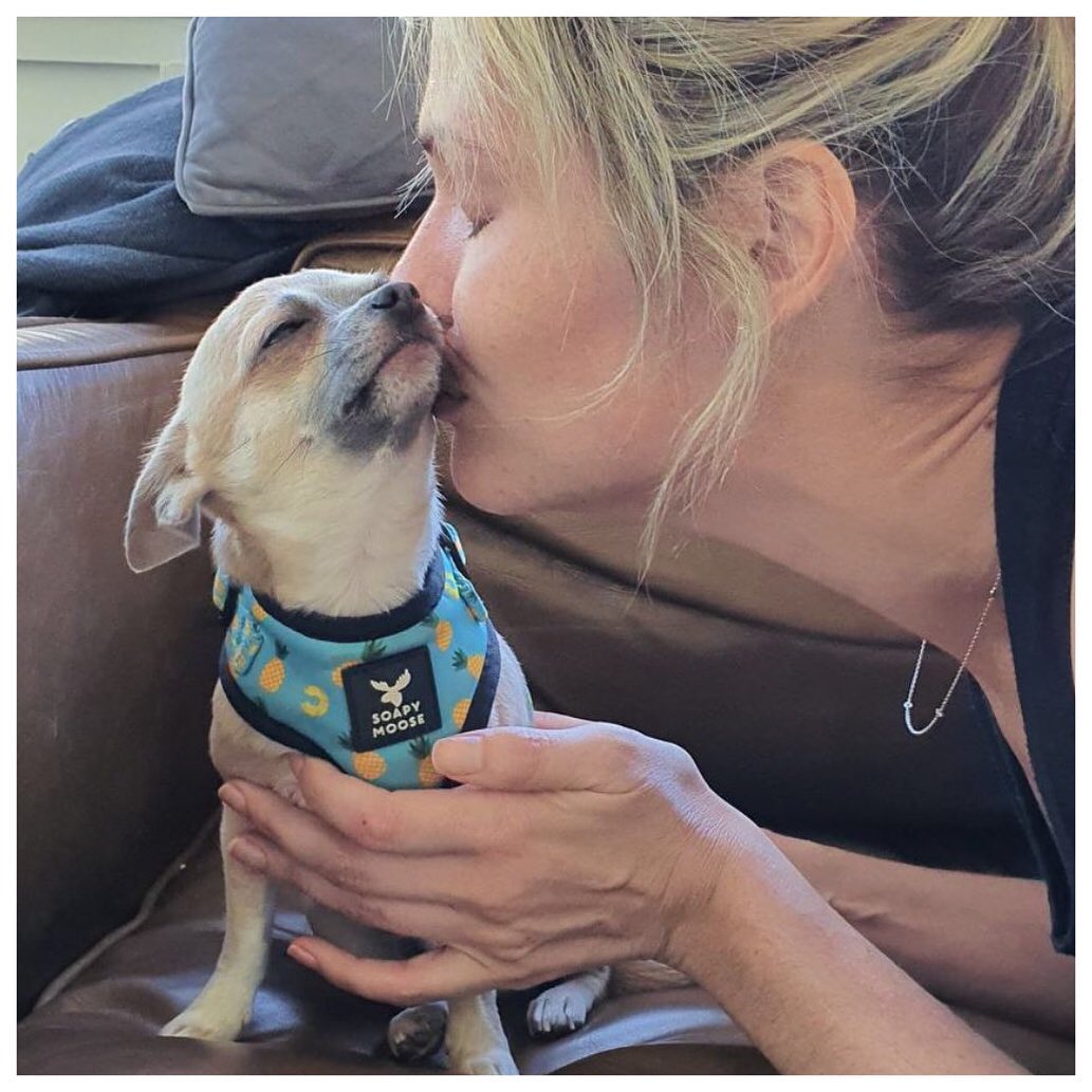 woman kissing chihuahua puppy