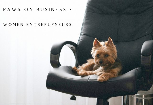 Paws on Business: Women Entrepupneurs – Part 3