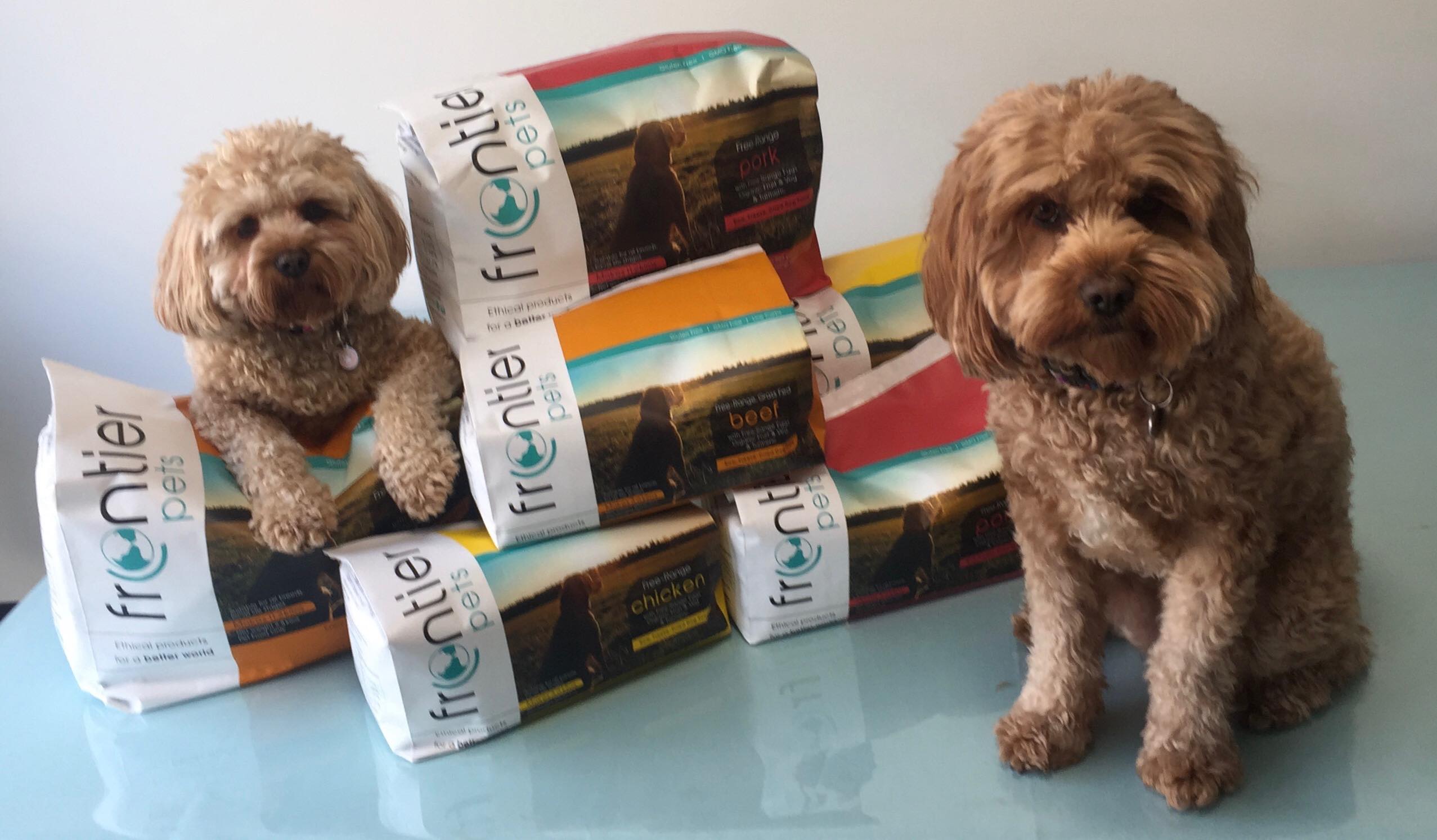 two cavoodles sitting next to a packets of frontier pet food