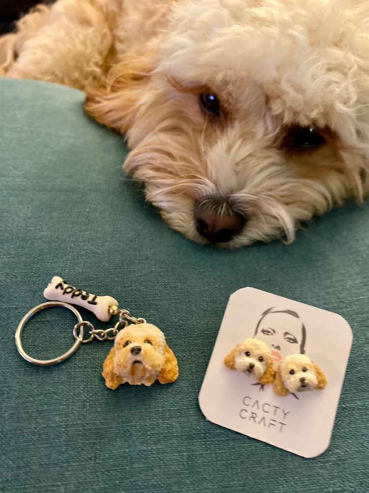 dog looking at cacty craft earrings and key chain