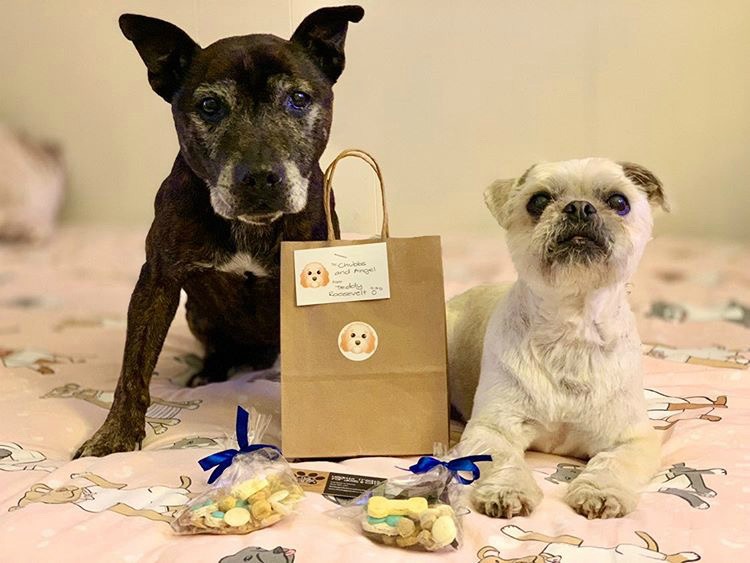 2 dogs sitting with their party bags