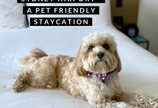 Citadines Connect Sydney Airport – A Pet Friendly Staycation