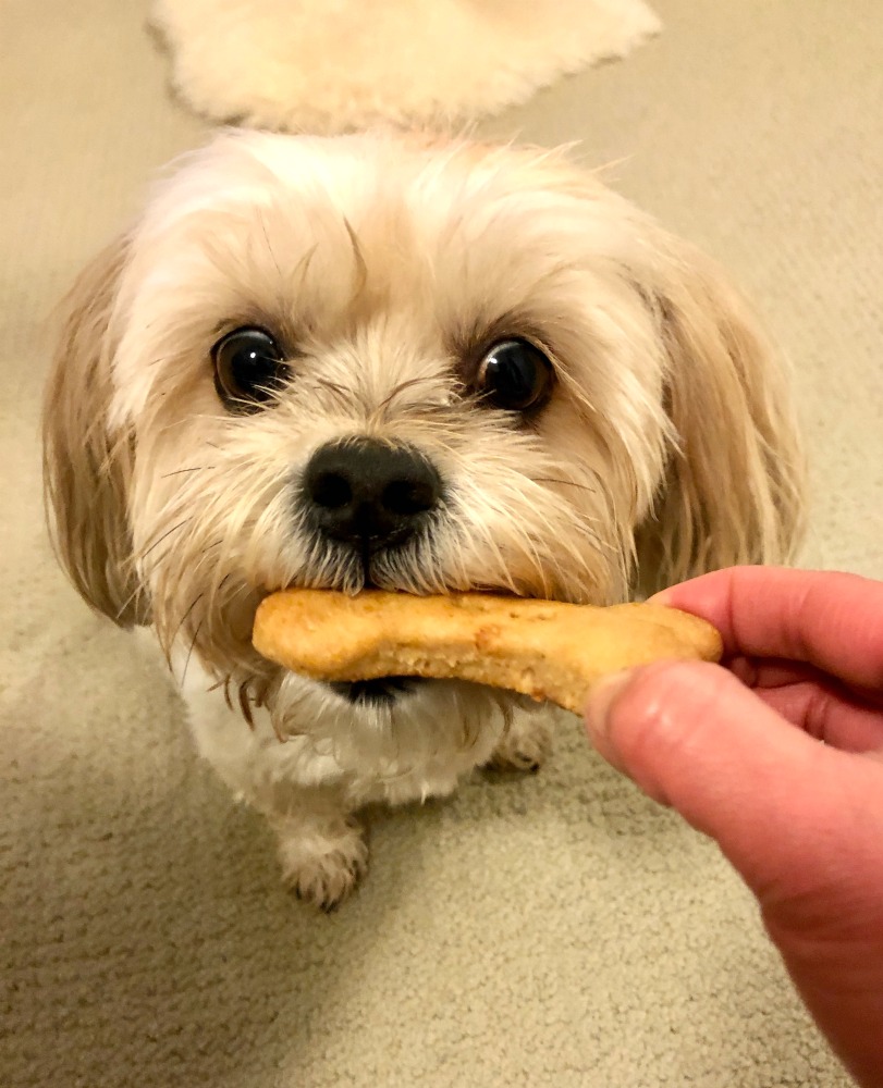 dog eating peanut butter dog biscuits