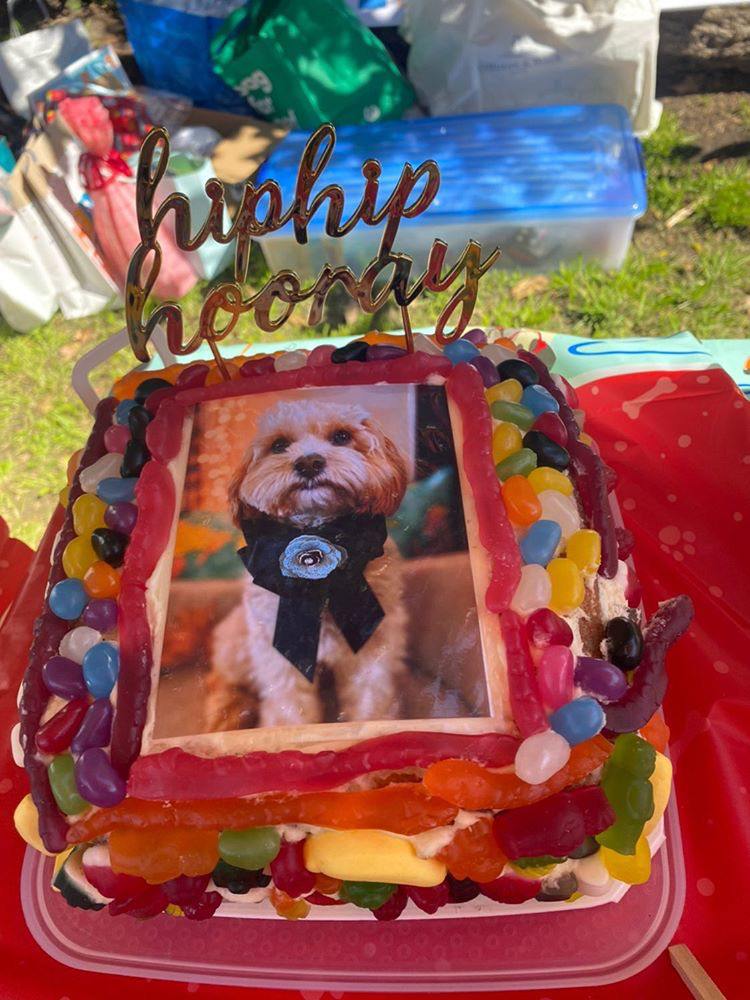 birthday cake covered in candy with a photo of a dog