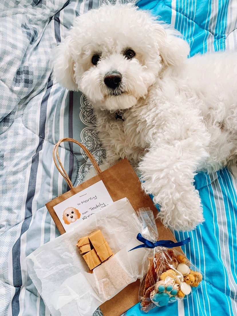 white fluffy dog with party bag