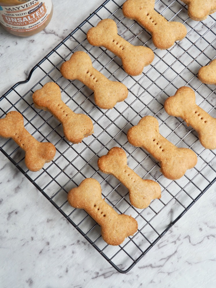 tray of easy peanut butter dog biscuits